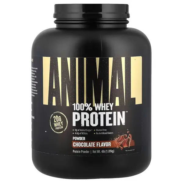 protein powder