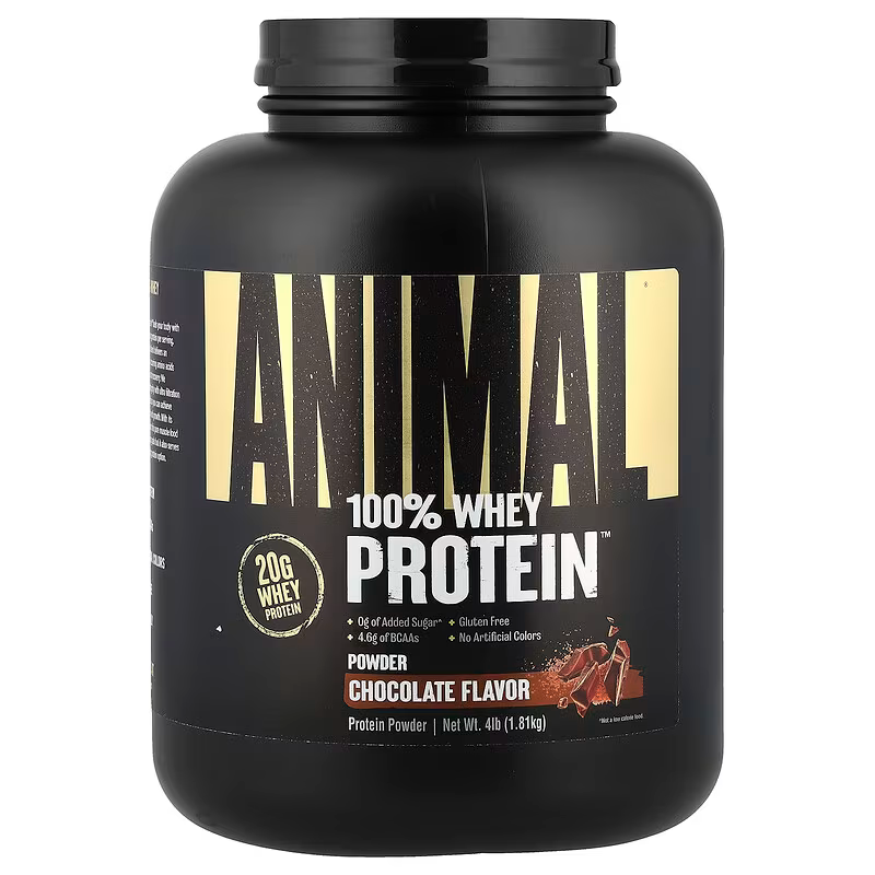 protein powder