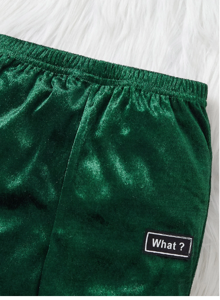 Infant/Toddler Boys Hooded Thicken Fleece Sweatshirt And Pants Set Carousel 2