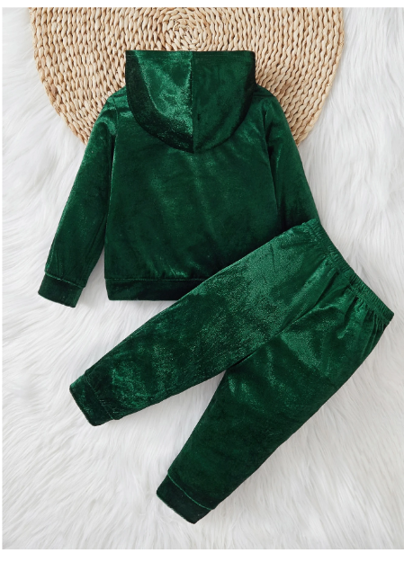 Infant/Toddler Boys Hooded Thicken Fleece Sweatshirt And Pants Set Carousel 1