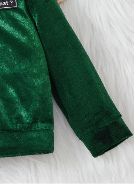 Infant/Toddler Boys Hooded Thicken Fleece Sweatshirt And Pants Set Carousel 3