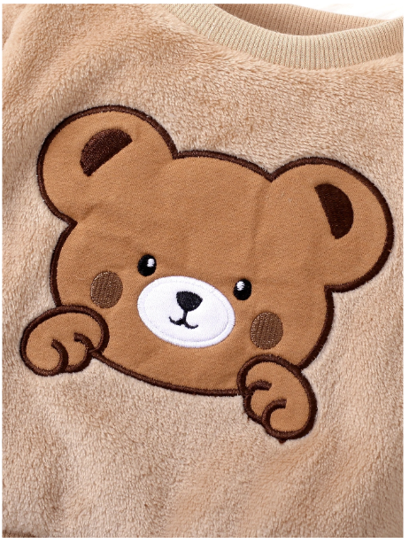 Baby Boy Bear Embroidery Teddy Sweatshirt & Pants Carousel 5