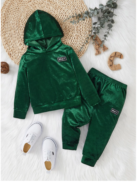 Infant/Toddler Boys Hooded Thicken Fleece Sweatshirt And Pants Set