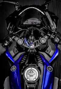 Adidas Cricket Shirt