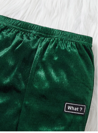 Infant/Toddler Boys Hooded Thicken Fleece Sweatshirt And Pants Set Carousel 2