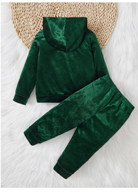 Infant/Toddler Boys Hooded Thicken Fleece Sweatshirt And Pants Set Carousel 1